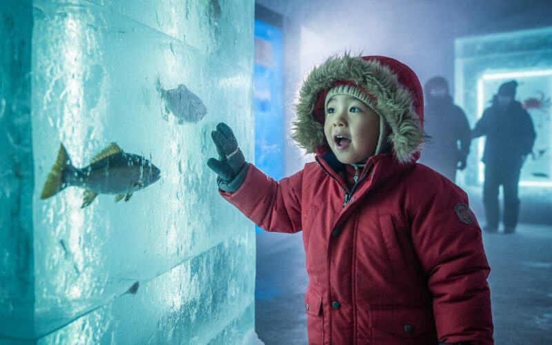 オホーツク流氷館で本物の流氷に触れる子供